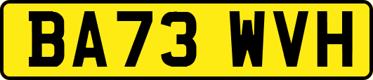 BA73WVH