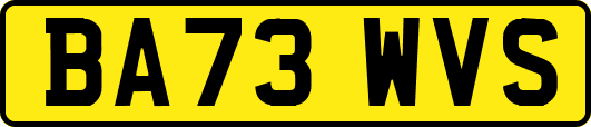 BA73WVS