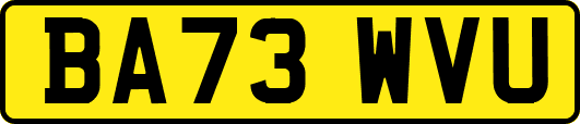 BA73WVU