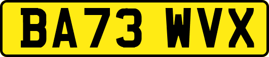 BA73WVX