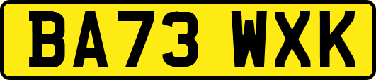 BA73WXK