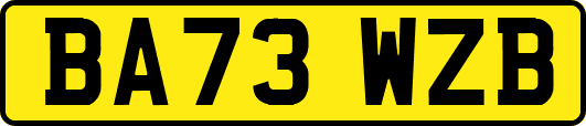 BA73WZB