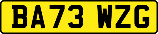 BA73WZG