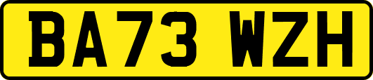 BA73WZH