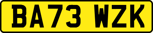 BA73WZK