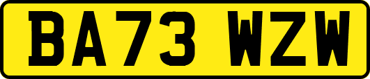 BA73WZW