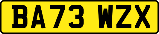 BA73WZX