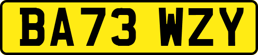 BA73WZY
