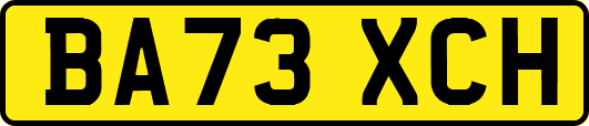 BA73XCH