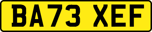 BA73XEF