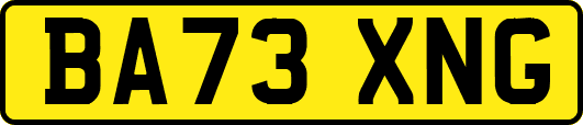 BA73XNG