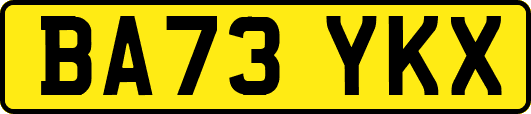 BA73YKX
