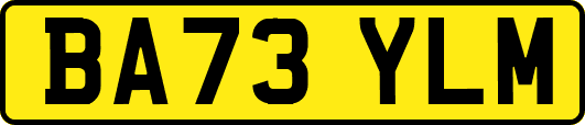 BA73YLM
