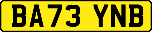 BA73YNB