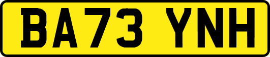 BA73YNH