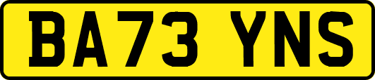 BA73YNS