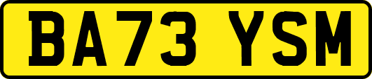 BA73YSM