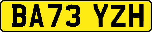 BA73YZH