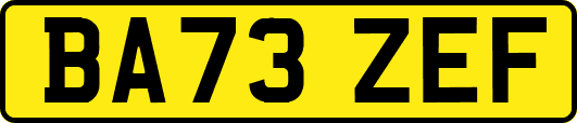 BA73ZEF