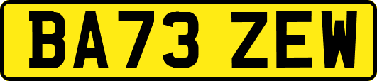 BA73ZEW