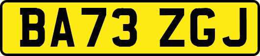 BA73ZGJ