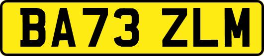 BA73ZLM