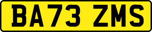 BA73ZMS