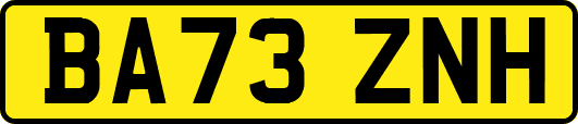 BA73ZNH