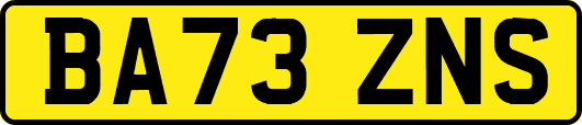 BA73ZNS