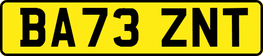 BA73ZNT