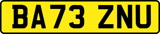 BA73ZNU