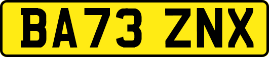 BA73ZNX