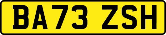 BA73ZSH