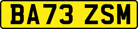 BA73ZSM