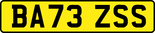 BA73ZSS