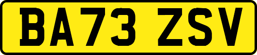 BA73ZSV