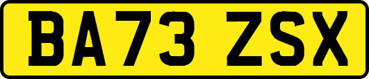 BA73ZSX