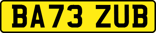 BA73ZUB