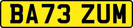 BA73ZUM