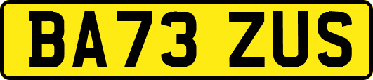 BA73ZUS