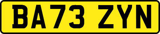 BA73ZYN