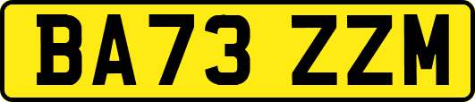 BA73ZZM
