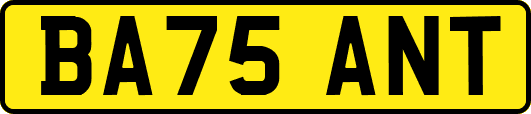 BA75ANT