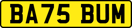 BA75BUM