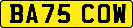 BA75COW