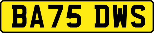 BA75DWS