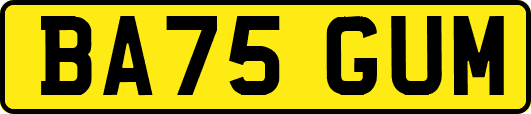 BA75GUM