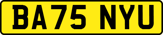 BA75NYU