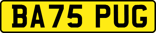 BA75PUG