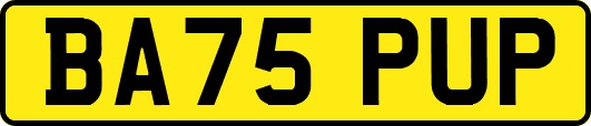 BA75PUP